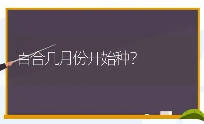 百合几月份开始种？ | 绿植常识