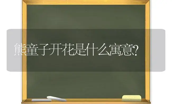 熊童子开花是什么寓意？ | 多肉养殖