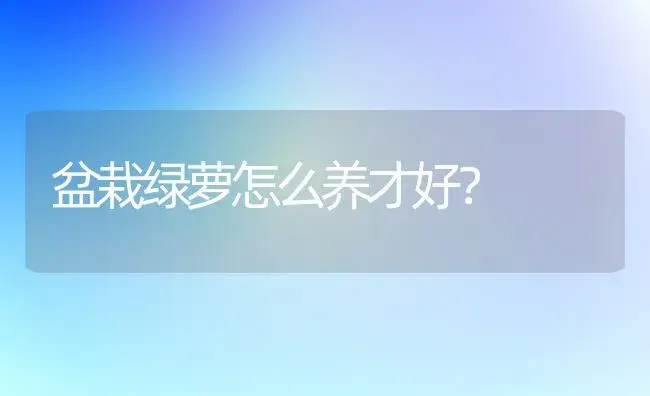 盆栽绿萝怎么养才好？ | 家庭养花