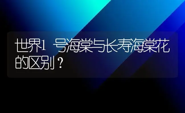 世界1号海棠与长寿海棠花的区别？ | 绿植常识