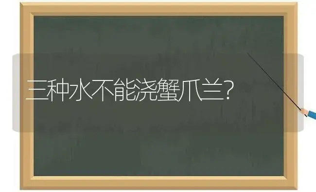 三种水不能浇蟹爪兰？ | 多肉养殖