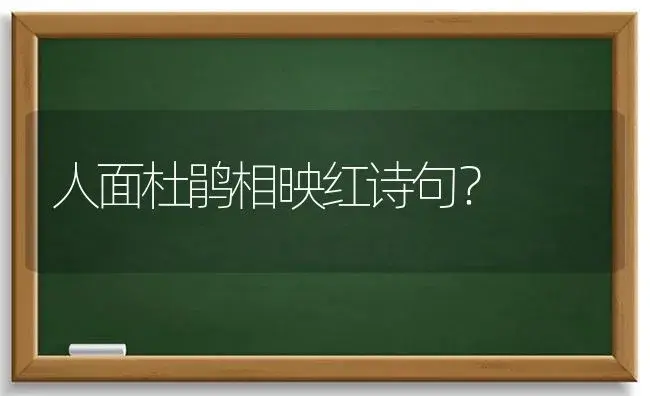 人面杜鹃相映红诗句？ | 绿植常识