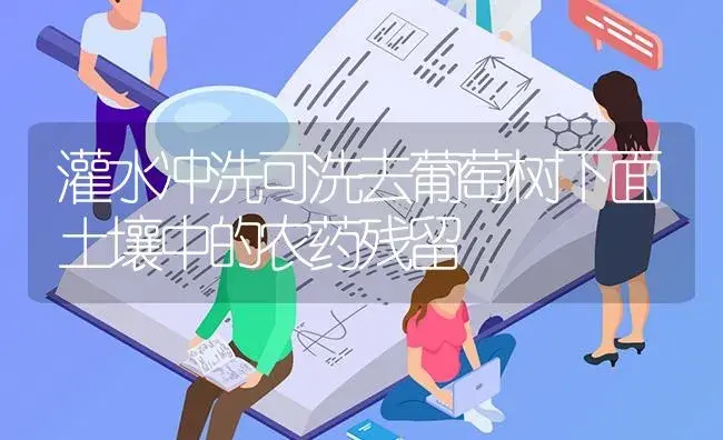 灌水冲洗可洗去葡萄树下面土壤中的农药残留 | 果木种植