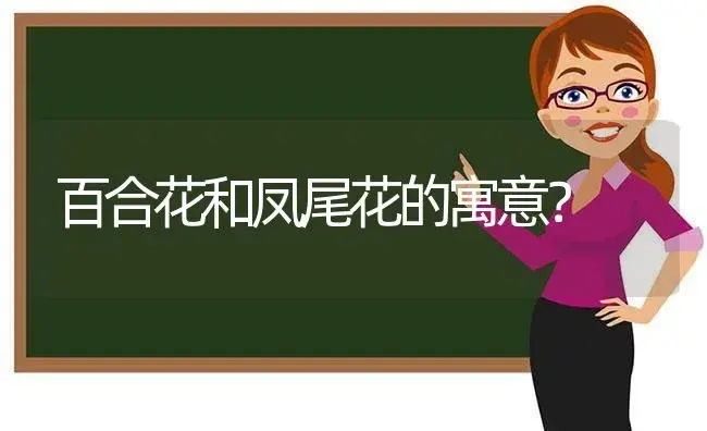 百合花和凤尾花的寓意？ | 绿植常识