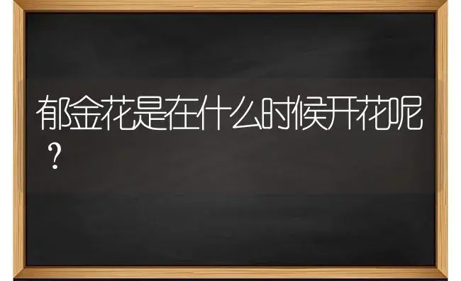 郁金花是在什么时候开花呢？ | 绿植常识