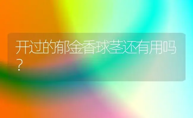 2021流行花店名字？ | 绿植常识