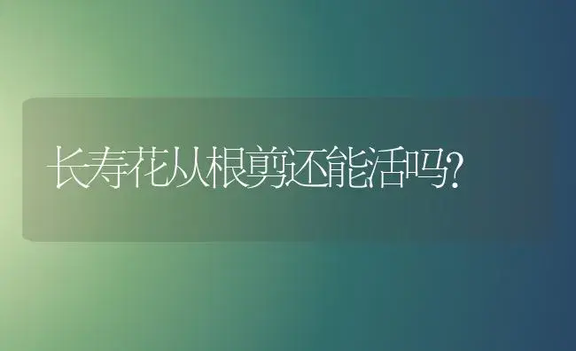 长寿花从根剪还能活吗？ | 多肉养殖