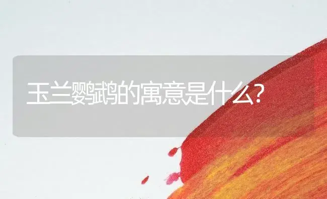 玉兰鹦鹉的寓意是什么？ | 绿植常识