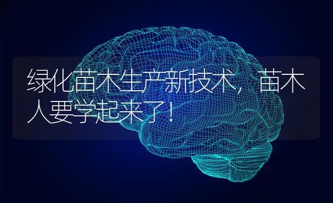 绿化苗木生产新技术，苗木人要学起来了！ | 特种种植