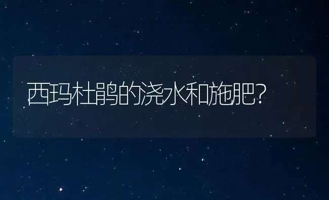 西玛杜鹃的浇水和施肥？ | 绿植常识