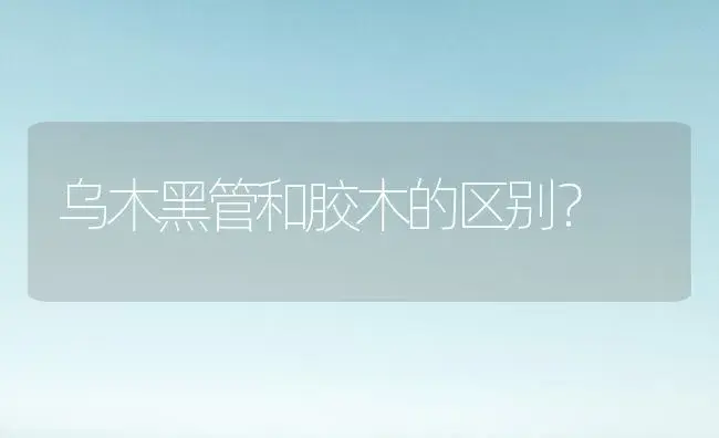 乌木黑管和胶木的区别？ | 多肉养殖