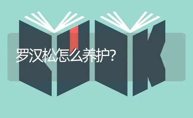 罗汉松怎么养护？ | 特种种植