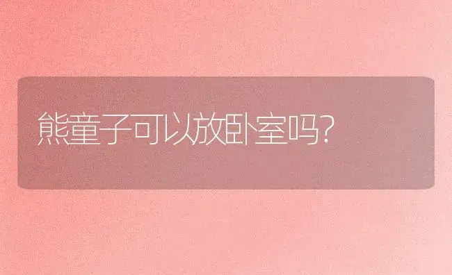 熊童子可以放卧室吗？ | 多肉养殖