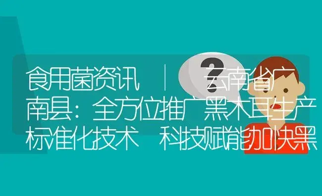 云南省广南县：全方位推广黑木耳生产标准化技术 科技赋能加快黑木耳产业发展 | 菌菇种植