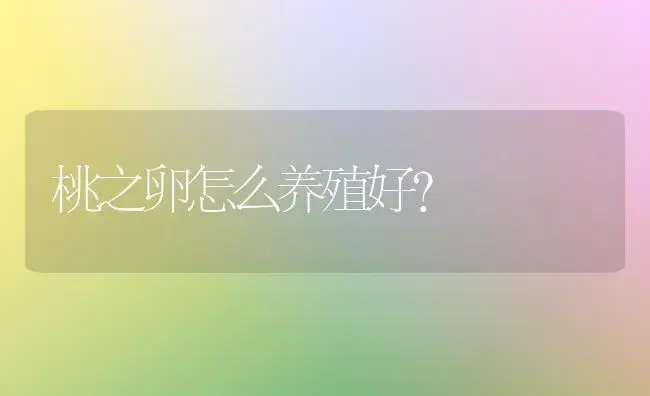 桃之卵怎么养殖好？ | 家庭养花