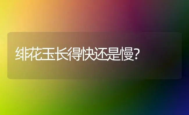绯花玉长得快还是慢？ | 多肉养殖