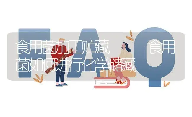 食用菌如何进行化学储藏 | 菌菇种植