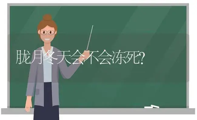 胧月冬天会不会冻死？ | 多肉养殖