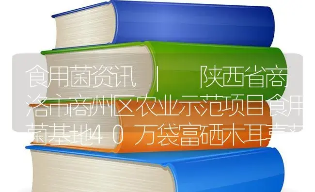 降低食用菌接种污染的五种方法 | 菌菇种植