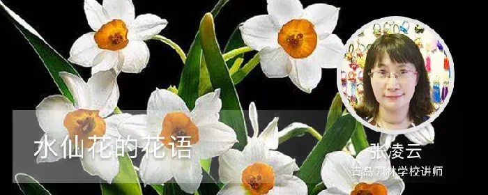 水仙花的花语