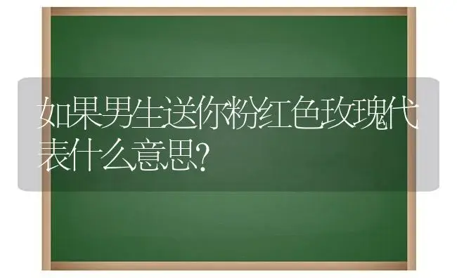 如果男生送你粉红色玫瑰代表什么意思？ | 绿植常识