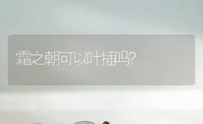 众神之王雷神是谁？ | 多肉养殖