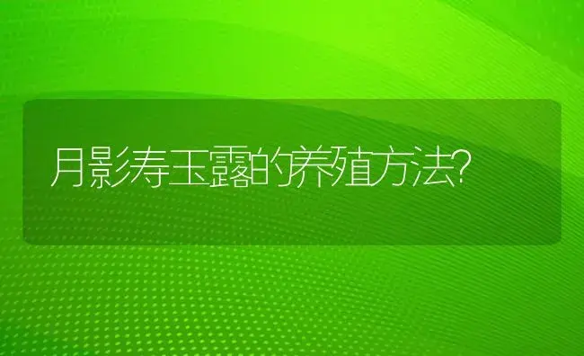 月影寿玉露的养殖方法？ | 多肉养殖