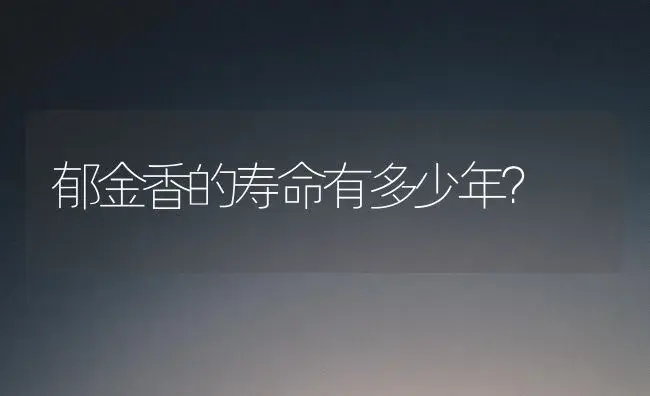 百合花开过一次后还会再开吗？ | 绿植常识