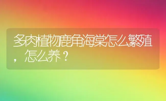 多肉植物鹿角海棠怎么繁殖,怎么养？ | 多肉养殖