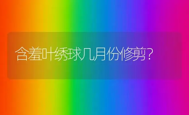 含羞叶绣球几月份修剪？ | 绿植常识