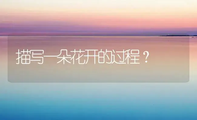 水仙花的修辞手法怎么写？ | 绿植常识