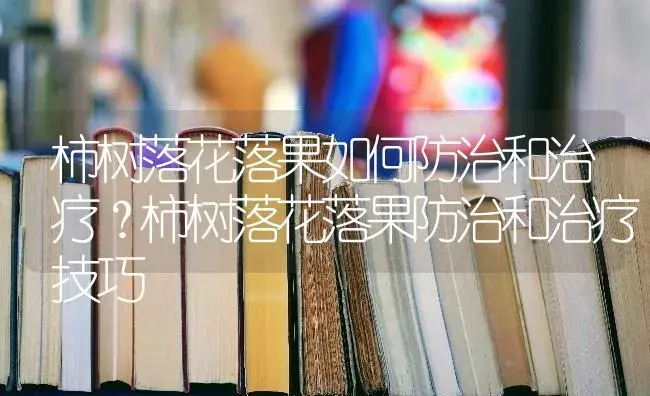 柿树落花落果如何防治和治疗？柿树落花落果防治和治疗技巧 | 果木种植