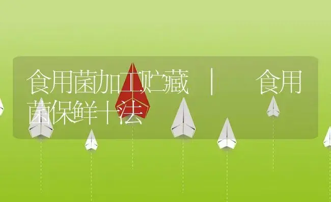 怎么防食用菌菌种退化 | 菌菇种植