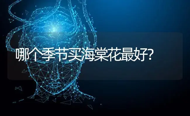 君子兰为啥半年就要换次盆？ | 绿植常识