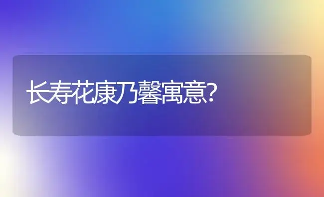 长寿花康乃馨寓意？ | 多肉养殖