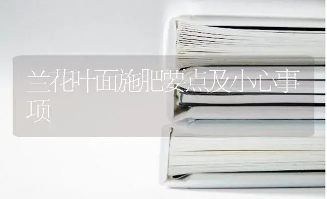 兰花叶面施肥要点及小心事项 | 特种种植