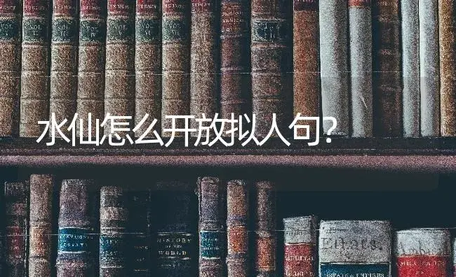 水仙怎么开放拟人句？ | 绿植常识