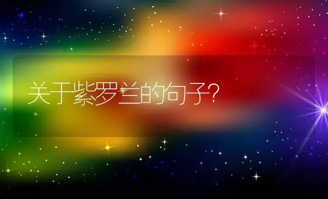 关于紫罗兰的句子？ | 绿植常识