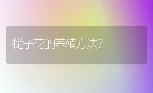 桅子花的养殖方法？ | 绿植常识