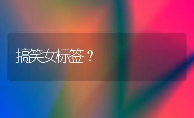 搞笑女标签？ | 绿植常识