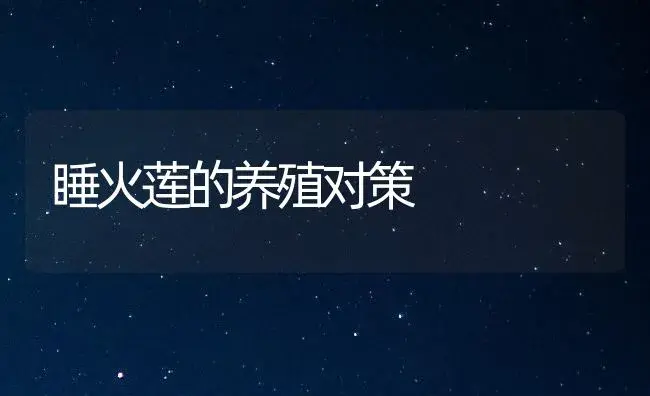 睡火莲的养殖对策 | 家庭养花