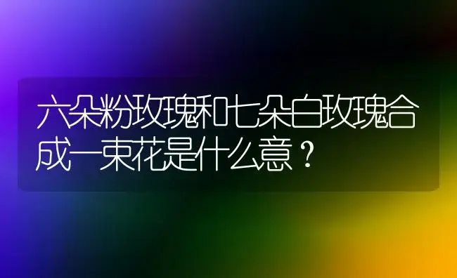 六朵粉玫瑰和七朵白玫瑰合成一束花是什么意？ | 绿植常识