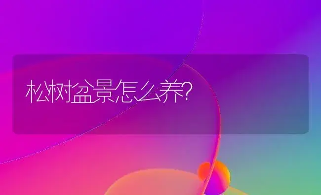 松树盆景怎么养？ | 家庭养花