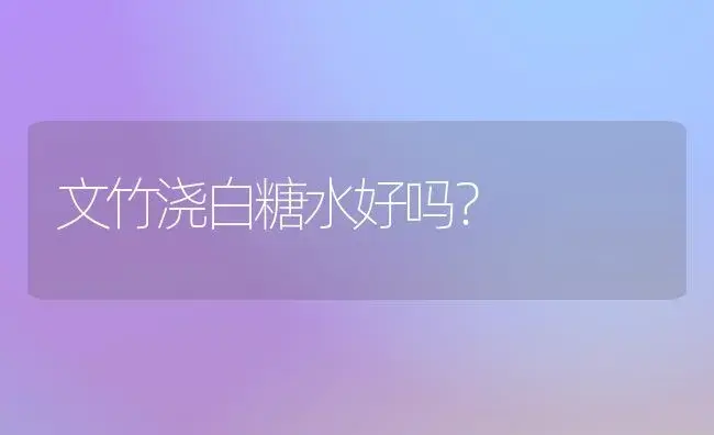 文竹浇白糖水好吗？ | 家庭养花