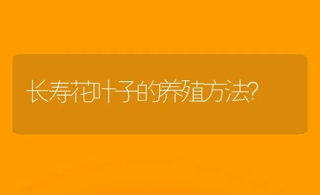 长寿花叶子的养殖方法？ | 多肉养殖