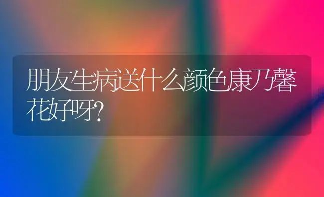 朋友生病送什么颜色康乃馨花好呀？ | 绿植常识