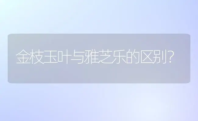 金枝玉叶与雅芝乐的区别？ | 多肉养殖