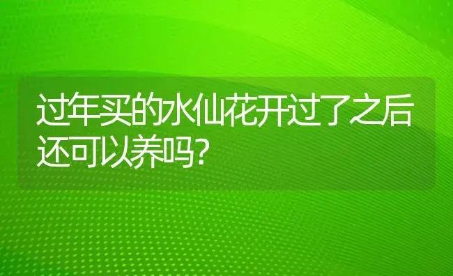 过年买的水仙花开过了之后还可以养吗？ | 绿植常识