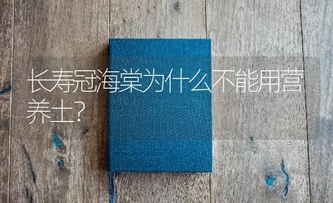 长寿冠海棠为什么不能用营养土？ | 绿植常识