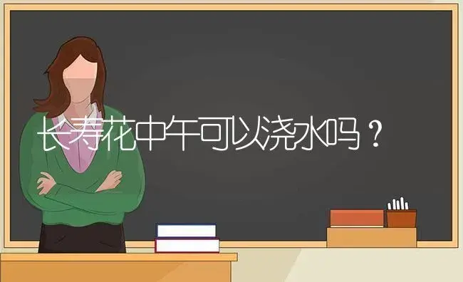 长寿花中午可以浇水吗？ | 多肉养殖